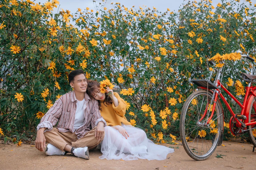 Giới trẻ check-in mùa hoa dã quỳ ở Đà Lạt