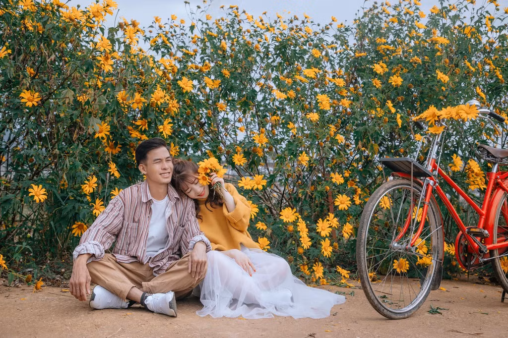 Giới trẻ check-in mùa hoa dã quỳ ở Đà Lạt