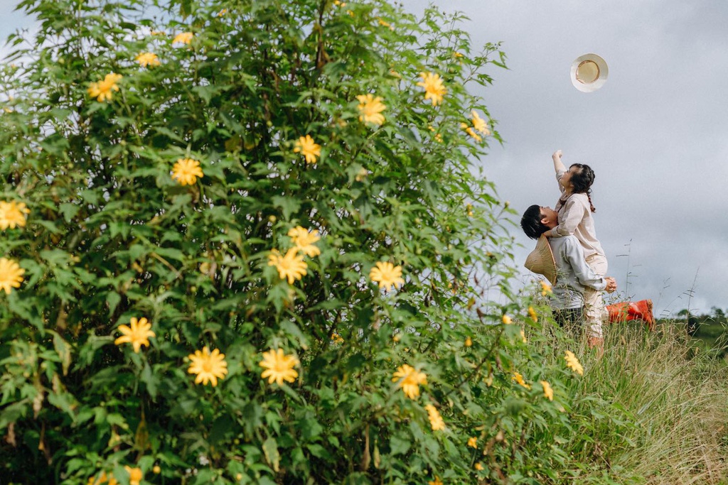 Giới trẻ check-in mùa hoa dã quỳ ở Đà Lạt