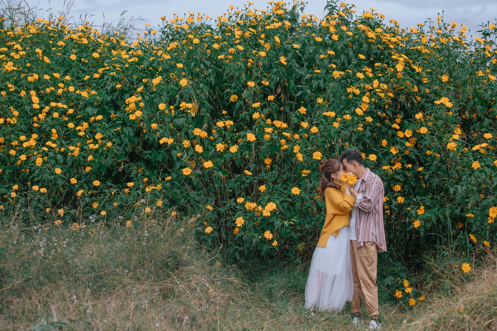 Giới trẻ check-in mùa hoa dã quỳ ở Đà Lạt