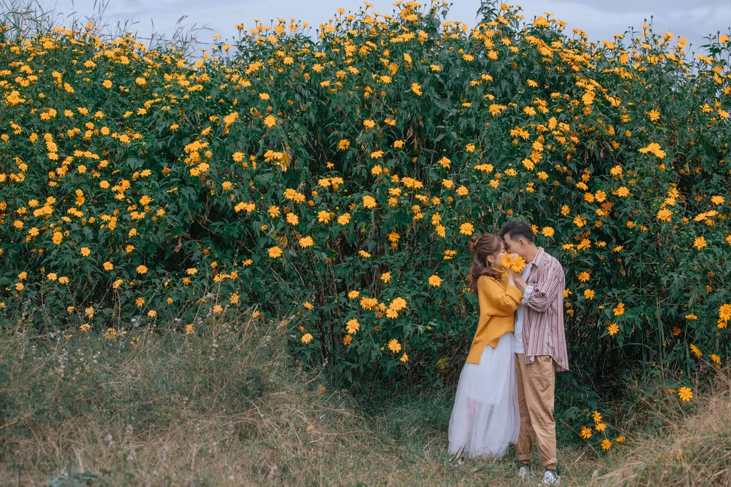 Giới trẻ check-in mùa hoa dã quỳ ở Đà Lạt