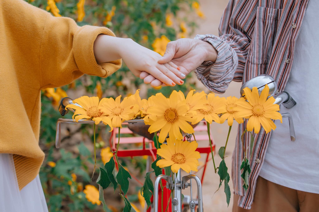 Giới trẻ check-in mùa hoa dã quỳ ở Đà Lạt