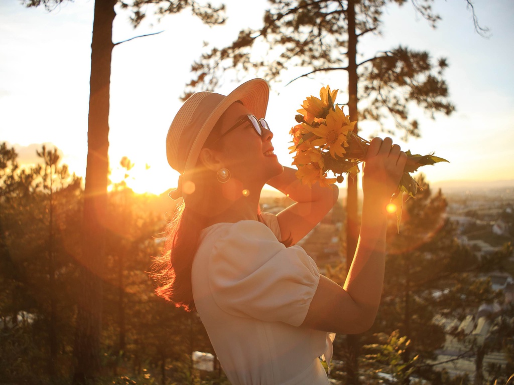 Giới trẻ check-in mùa hoa dã quỳ ở Đà Lạt