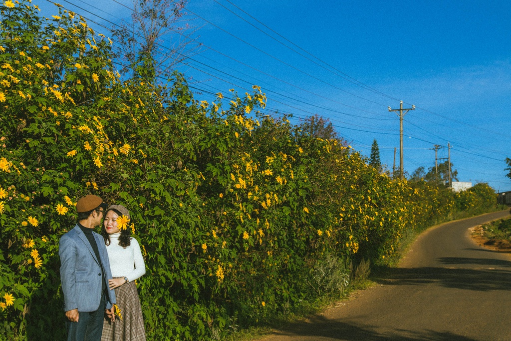 Giới trẻ check-in mùa hoa dã quỳ ở Đà Lạt