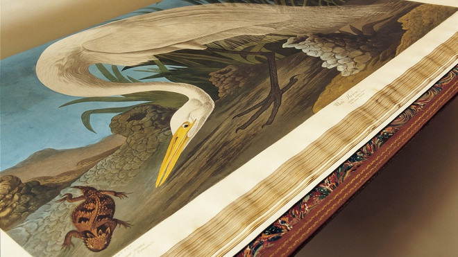 Điểm danh 10 cuốn sách triệu USD trên thế giới