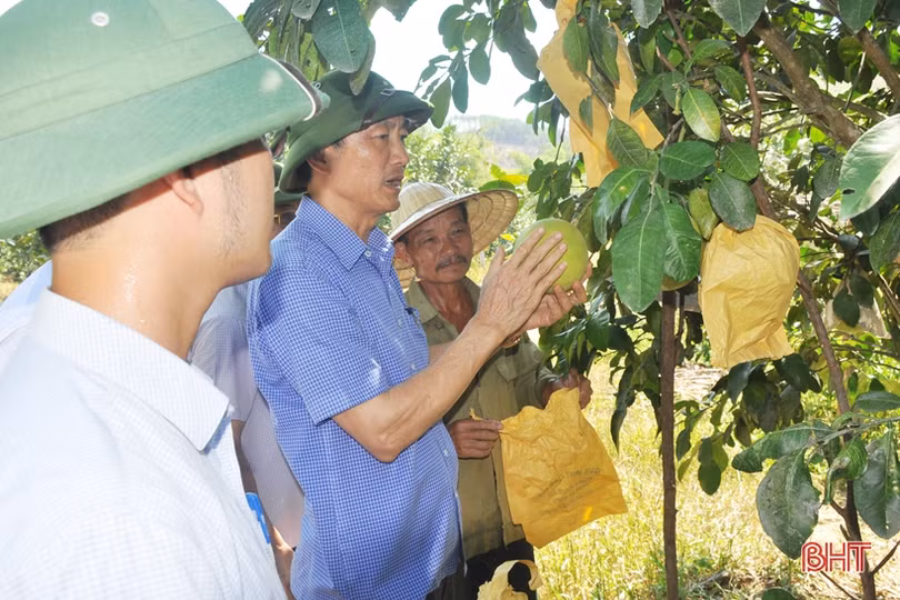 Khẩn trương nạo vét hồ đập thủy lợi phục vụ chống hạn