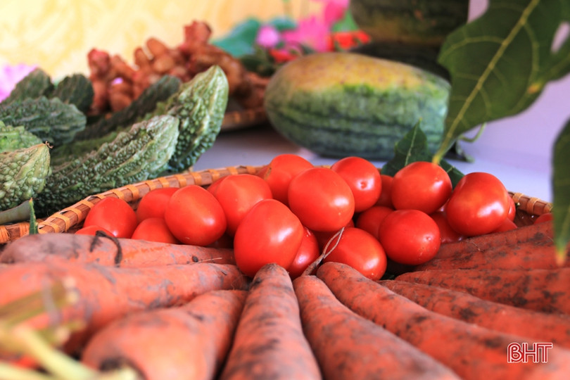 Trưng bày sản phẩm nông nghiệp tiêu biểu chào mừng Đại hội Đảng bộ TX Kỳ Anh 