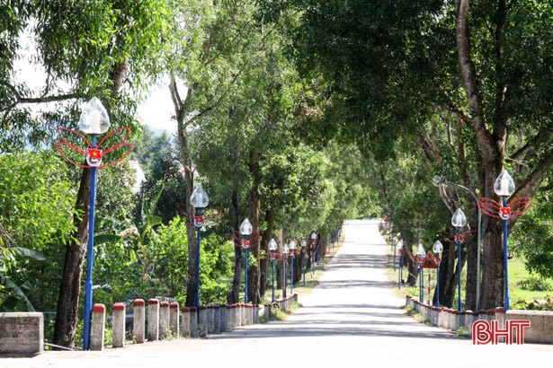 Tuổi trẻ Hương Sơn dâng hơn 1.100 bó hoa tươi thắm lên các phần mộ liệt sỹ