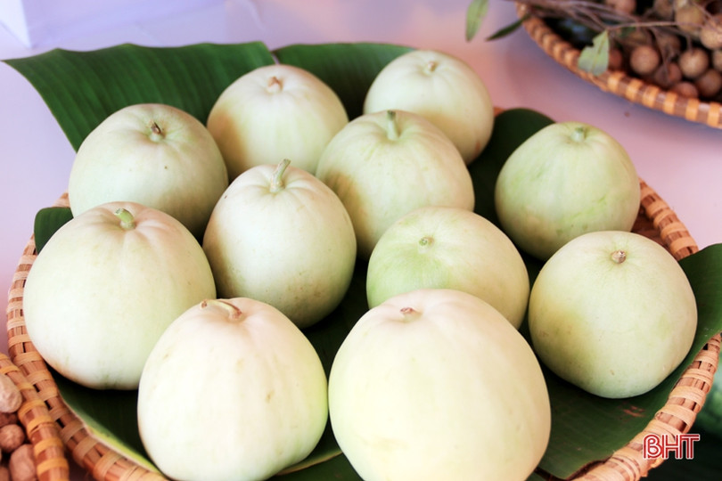 Trưng bày sản phẩm nông nghiệp tiêu biểu chào mừng Đại hội Đảng bộ TX Kỳ Anh 