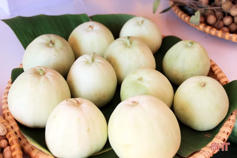 Trưng bày sản phẩm nông nghiệp tiêu biểu chào mừng Đại hội Đảng bộ TX Kỳ Anh 