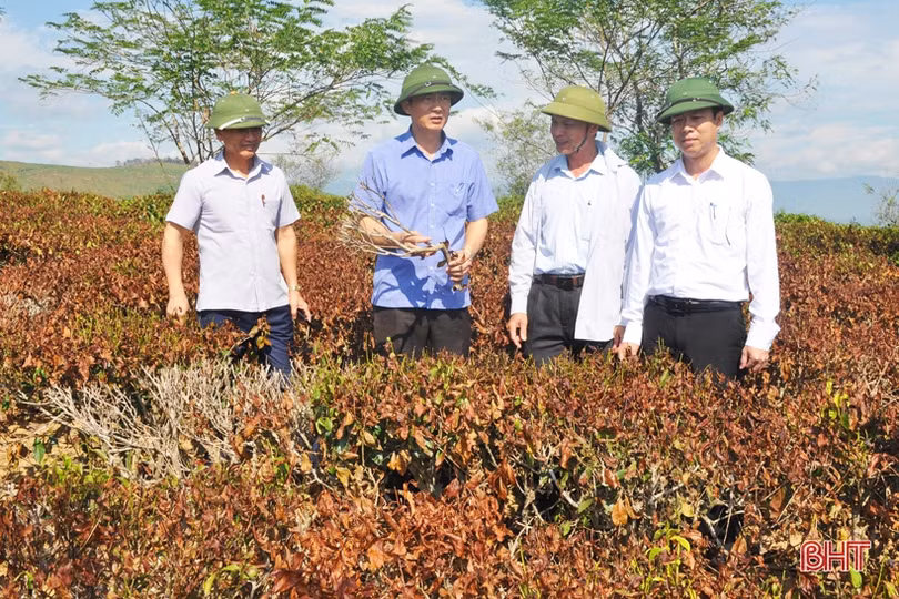 Khẩn trương nạo vét hồ đập thủy lợi phục vụ chống hạn