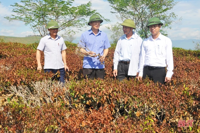 Khẩn trương nạo vét hồ đập thủy lợi phục vụ chống hạn