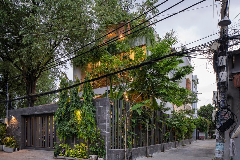 Nhờ có sân thượng trồng cây mà nhà phố xanh y như nhà vườn