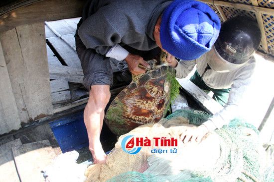 ngu dan ha tinh bat duoc rua khung tren song lam