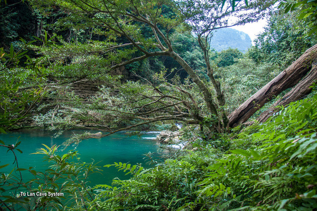 choang ngop canh dep viet nam qua lang kinh doan lam phim my