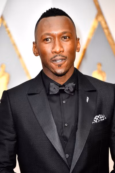 toan canh le trao giai oscar nam 2017