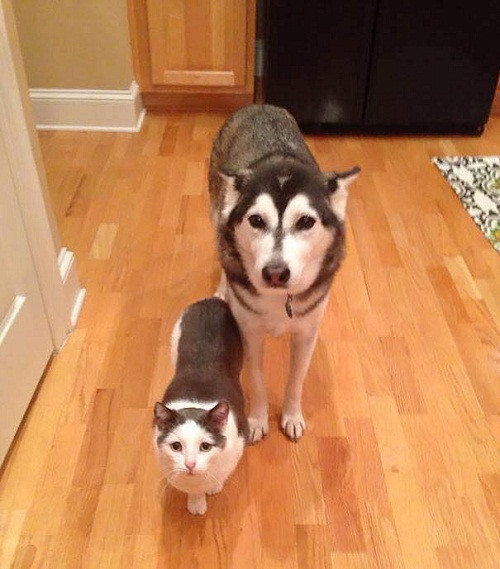 10 anh hai hot nhat facebook trong ngay