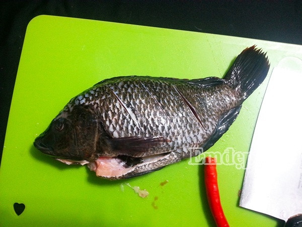 ca ro phi sot xi dau ngon com ngay gio ve