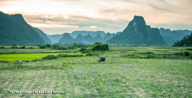 choang ngop canh dep viet nam qua lang kinh doan lam phim my