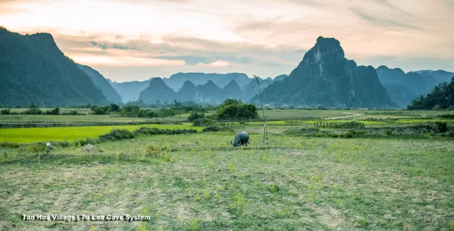 choang ngop canh dep viet nam qua lang kinh doan lam phim my