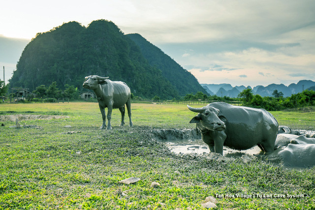 choang ngop canh dep viet nam qua lang kinh doan lam phim my