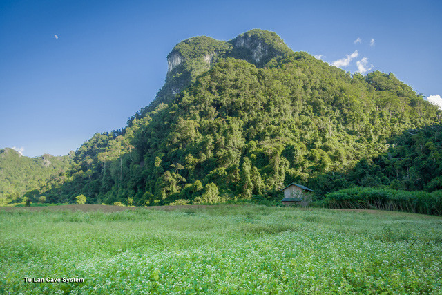 choang ngop canh dep viet nam qua lang kinh doan lam phim my