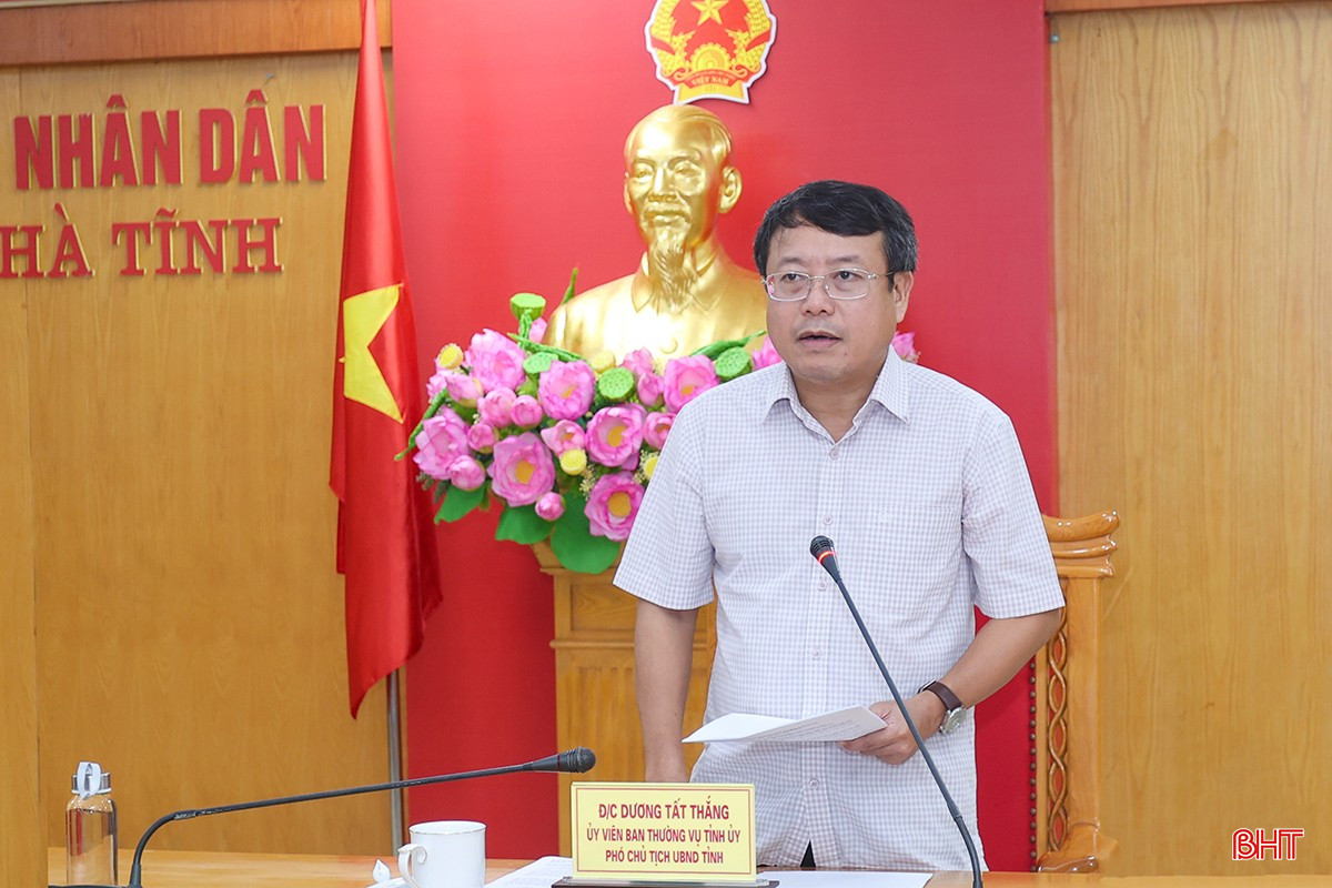 Phó Chủ tịch UBND tỉnh Dương Tất Thắng phát biểu tại cuộc họp. bqbht_br_aimg-5515.jpg
