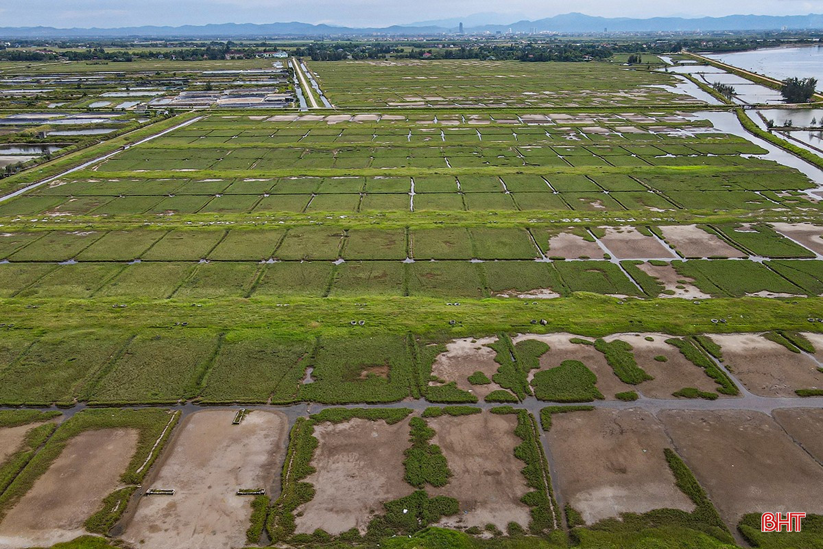Nằm liền kề khu vực nuôi trồng thủy sản là diện tích 30,8 ha đất làm muối đã được chuyển đổi sang nuôi trồng thủy sản nhằm phù hợp với quy hoạch định hướng phát triển, nâng cao giá trị sản phẩm. Nằm liền kề khu vực nuôi trồng thủy sản là diện tích 30,8 ha đất làm muối đã được chuyển đổi sang nuôi trồng thủy sản nhằm phù hợp với quy hoạch định hướng phát triển, nâng cao giá trị sản phẩm.