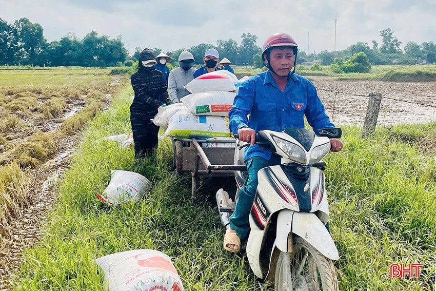 ...hỗ trợ các gia đình hoàn cảnh khó khăn thu hoạch lúa để kịp tiến độ mùa vụ mới. bqbht_br_ath.jpg