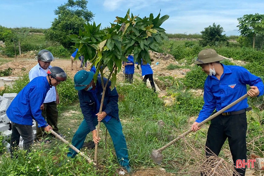 ĐVTN trồng cây xanh, hỗ trợ người dân cải tạo vườn tại huyện Đức Thọ. bqbht_br_adt.jpg