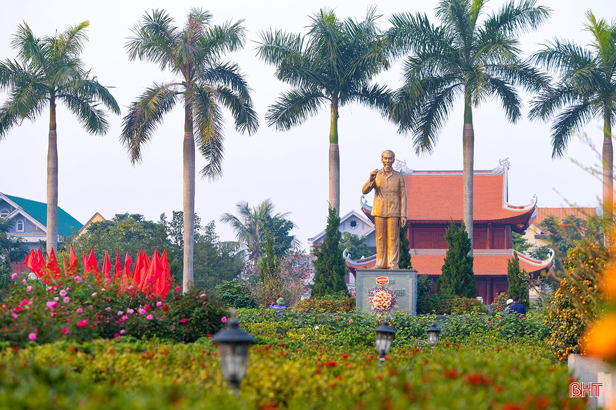 Ngàn hoa khoe sắc điểm tô cho Thành Sen thêm rực rỡ, vui tươi chào đón năm mới Ất Tỵ 2025.