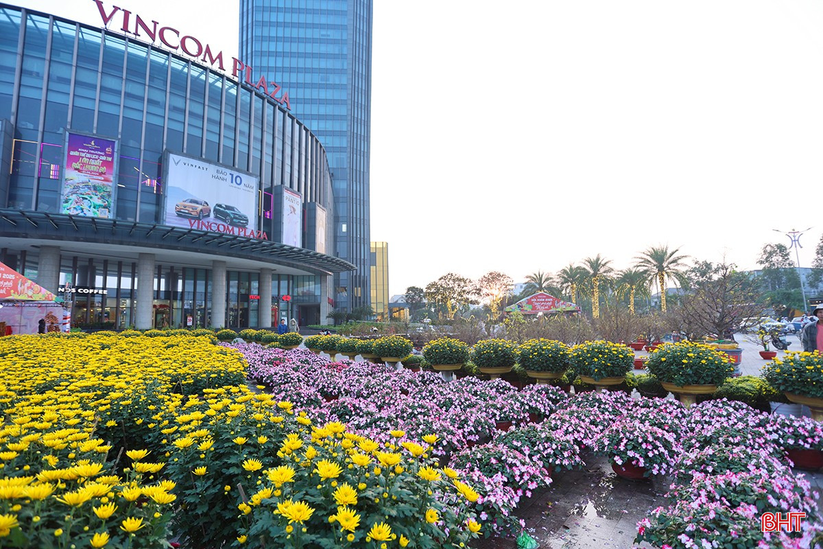 Thành phố ngập tràn sắc hoa đón mừng xuân mới.