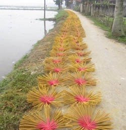 Đường làng trải thảm “hoa” hương