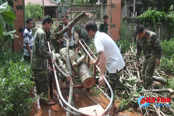 ho tro nhan dan tieu thu san pham khoi phuc vuon buoi phuc trach