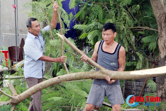 ha tinh hoi ha phong chong con bao lon nhat tu nhieu nam nay