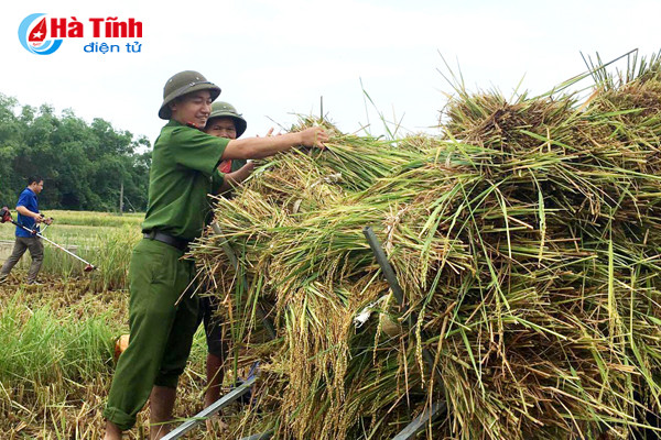ha tinh hoi ha phong chong con bao lon nhat tu nhieu nam nay
