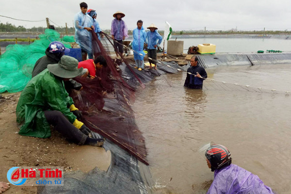 cac ho nuoi trong thuy san chay dua voi bao