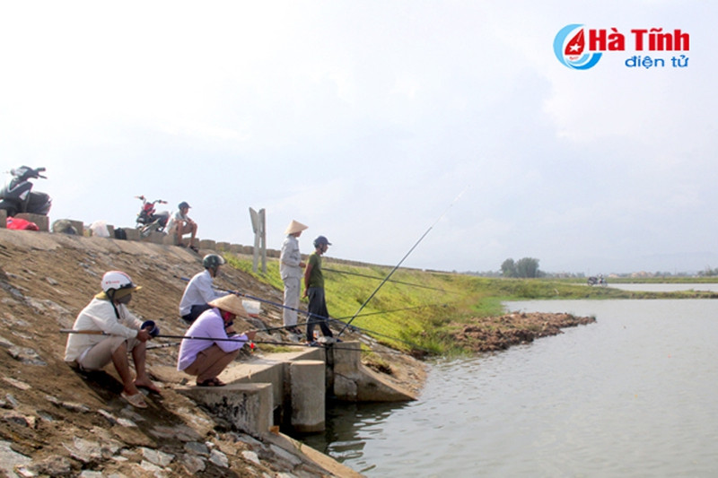 sau mua bao cac can thu tro tai cau ca