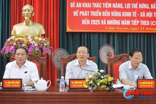 den nam 2025 co khoang 77 700 ha rung nguyen lieu phuc vu che bien