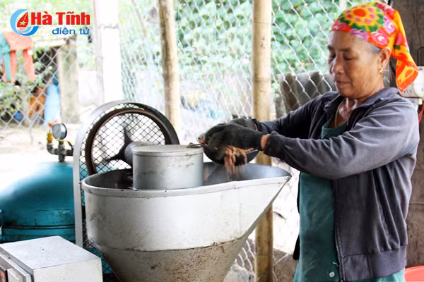 bat an thuc pham cong nghiep dan lang thuy khoi phuc nghe ep dau lac