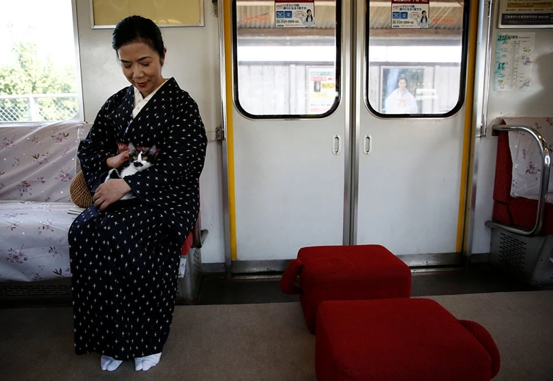 tau hoa thanh tiem ca phe cho nguoi yeu meo o nhat ban