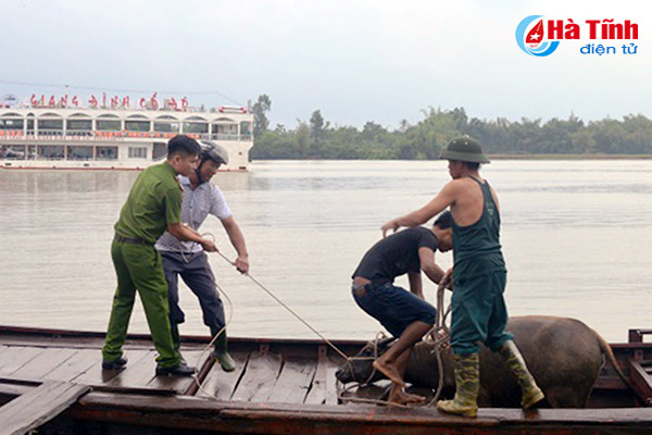 ha tinh hoi ha phong chong con bao lon nhat tu nhieu nam nay