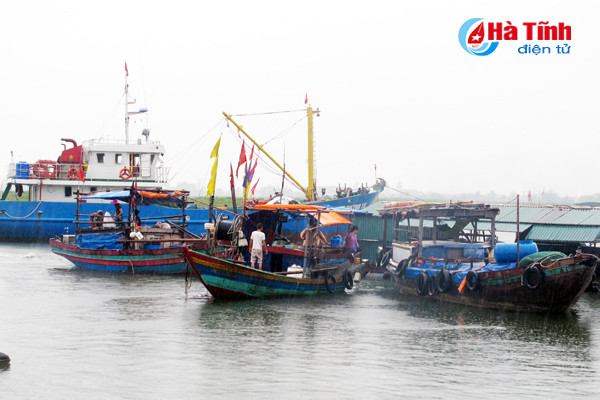 ha tinh hoi ha phong chong con bao lon nhat tu nhieu nam nay