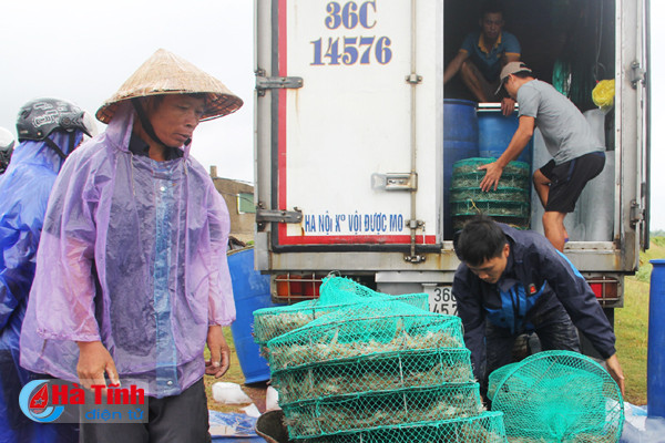 cac ho nuoi trong thuy san chay dua voi bao
