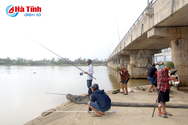 sau mua bao cac can thu tro tai cau ca