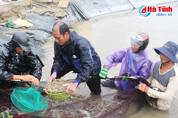 cac ho nuoi trong thuy san chay dua voi bao