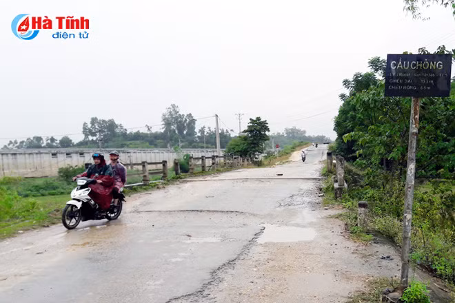 qua cau dan sinh danh cuoc tinh mang