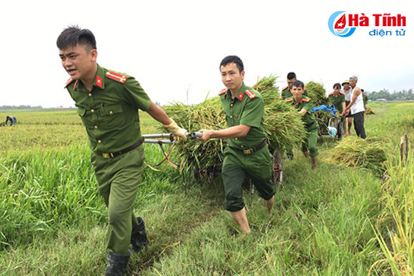 ha tinh hoi ha phong chong con bao lon nhat tu nhieu nam nay