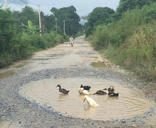 10 anh hai hot nhat facebook trong ngay