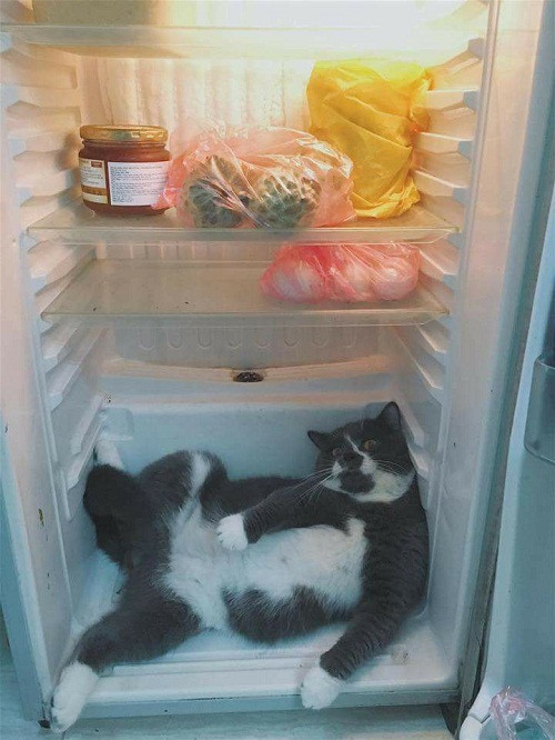 10 anh hai hot nhat facebook trong ngay